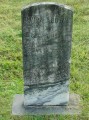 Elmira Downs * 768 x 1024 * (165KB)